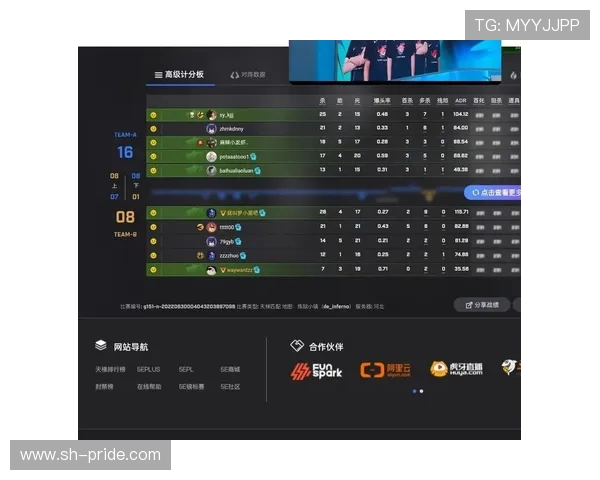 TES战术引发热议CSGO赛事中的争议与反思
