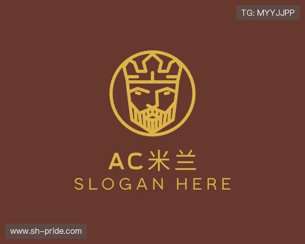 介绍ac米兰官网